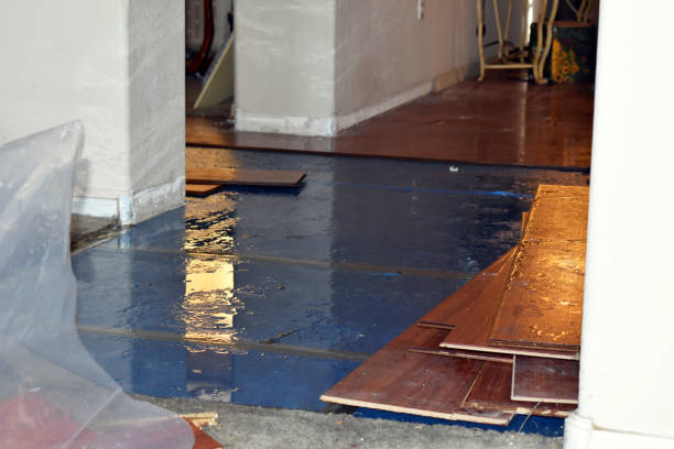 Professional Basement Flood Cleanup technician working in Columbia, PA